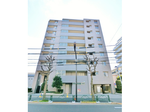 ヴェルビュ中野-h