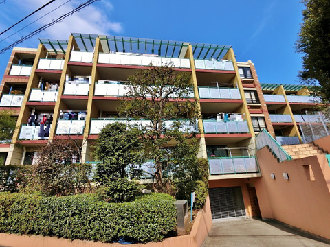 スターロワイヤル杉並高円寺-0-0