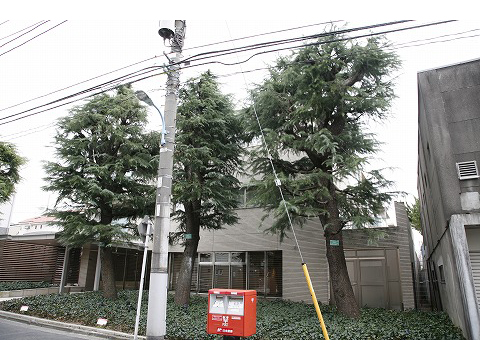 ドレッセ目白近衛町プレゼンス-h
