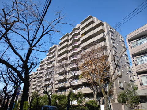 桜丘フラット-h