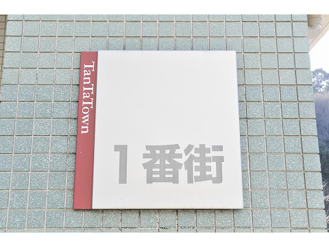タンタタウンアルボの丘向陽台１番街-h