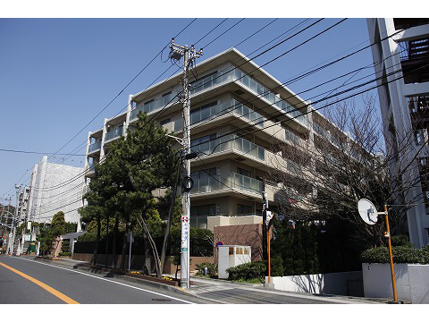 シーサイドコート片瀬海岸-0-0