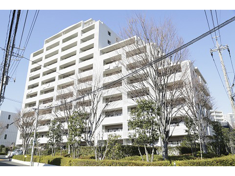 グリーンフォレストストーリーズ-h