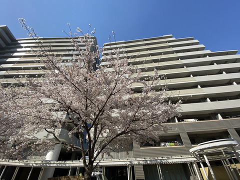 デライトシティ-0-0