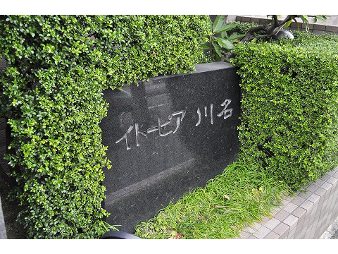 イトーピア川名-h