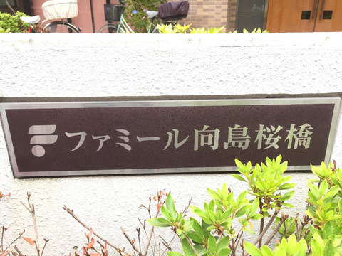 ファミール向島桜橋ビュータワーズ-h