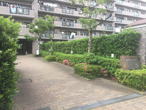 ファミール亀有弐番館-h