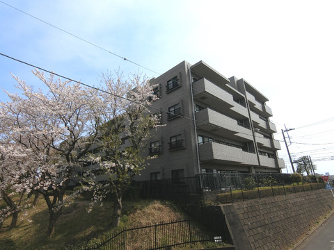 ファミール保土ヶ谷グランビュー-h