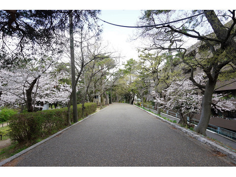 ファミール夙川宮西町-h