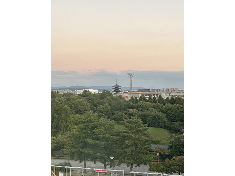 グランスイート京都梅小路公園-h