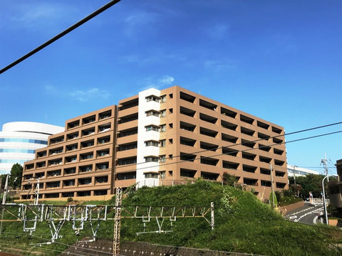 ライオンズステージ横濱グランガレリア