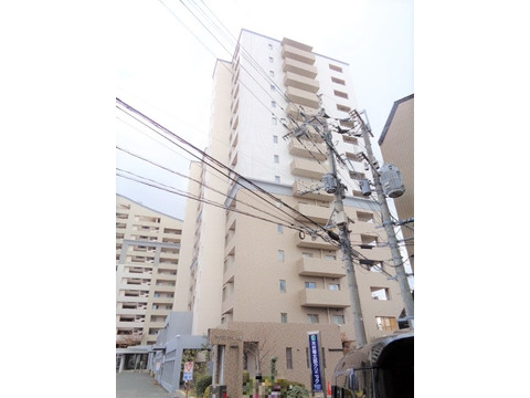 パークサンリヤン大橋-h