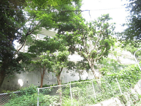 ネオハイツ南公園-h