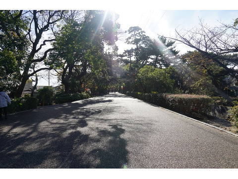クオリス夙川羽衣町-h
