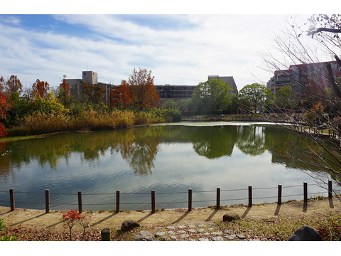 テラス苦楽園-h