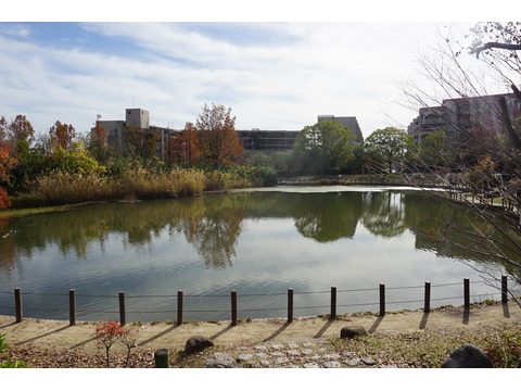 ヒルズ夙川　菊谷町-h