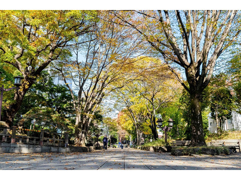 テラス大宮大門町-h