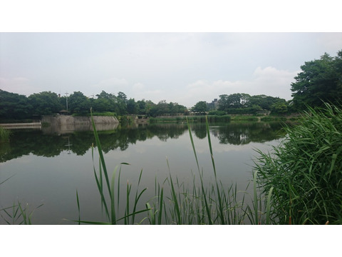 アルス甲陽園-h