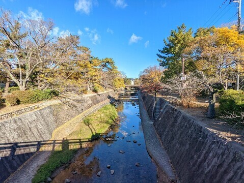 セレッソコート夙川エルシオン-h