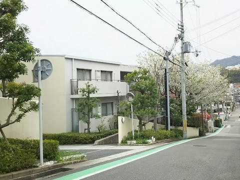 東急ドエル・アルス苦楽園桜町　C棟-h