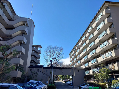苦楽園ヒルズ2号棟-h