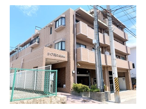 ダイアパレス魚崎北町-0-0