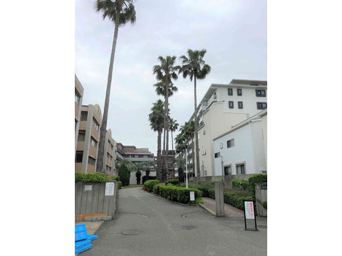 西宮香櫨園ロジュマン-h