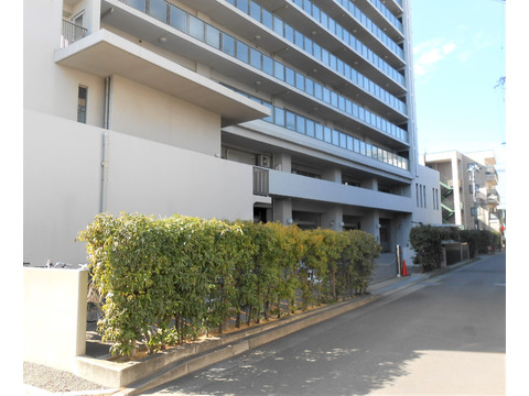 ピアフェスタ青木駅前-h