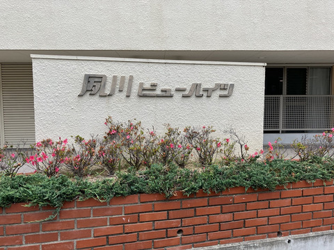 夙川ビューハイツＤ棟-h