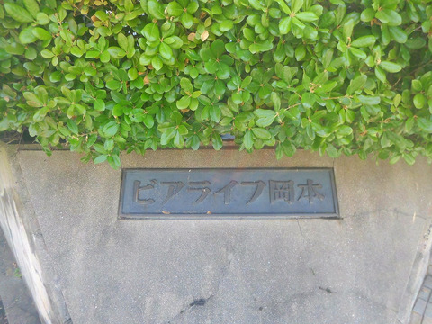 ビアライフ岡本-h