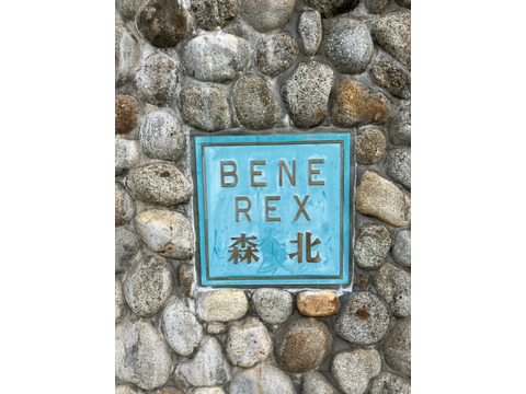 ベネレックス森北-h