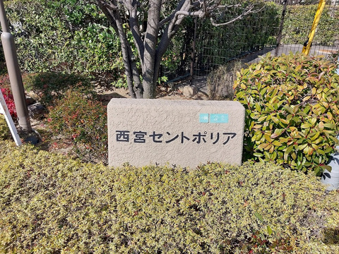 西宮セントポリア-h