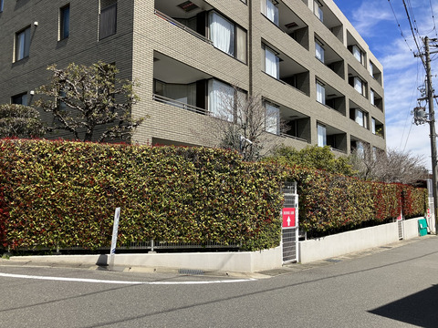 夙川霞町シティハウス-h