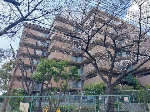 ロイヤルアーク夙川-h