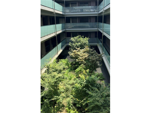 アトラス中野南台-h