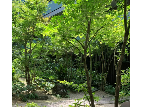 アトラス中野南台-h