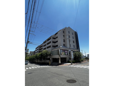 ラリーブ-h