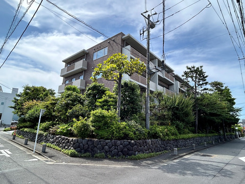 グランドメゾン鵠沼橘-h