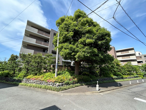 グランドメゾン鵠沼橘-h