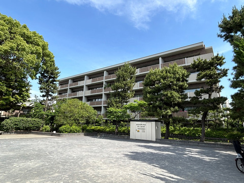 グランドメゾン鵠沼橘-h