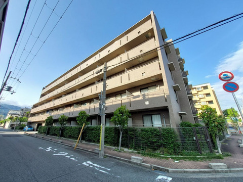 マインズ芦屋