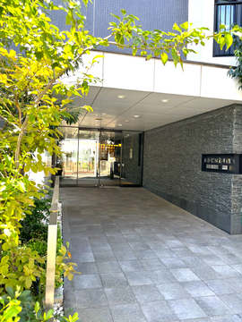 アデニウム大山町-h