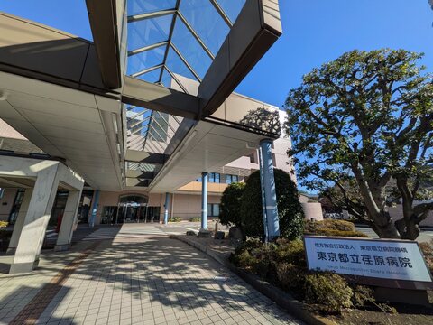 クレヴィア東雪谷-h