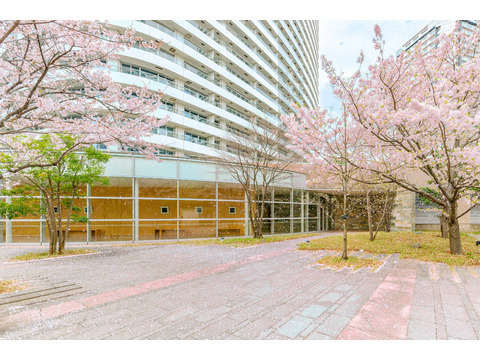 M.M.TOWERS FORESIS L棟-h