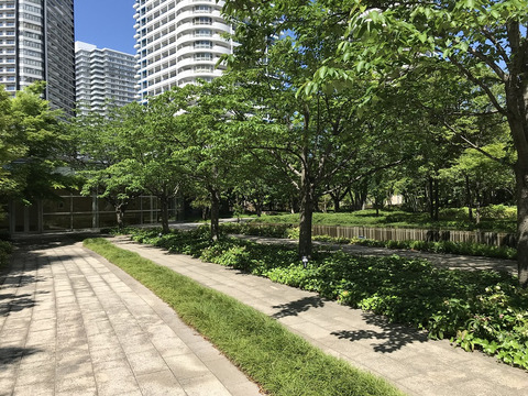 M.M.TOWERS FORESIS L棟-h