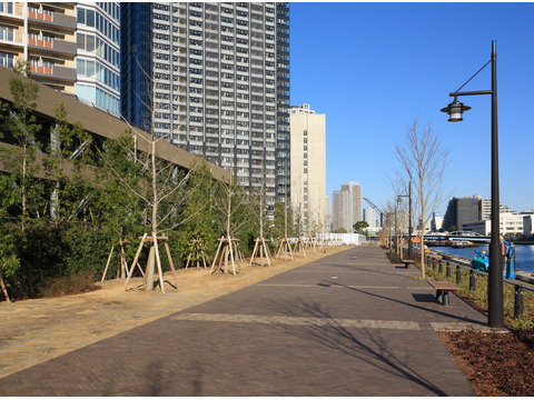 THE TOYOSU TOWER-h