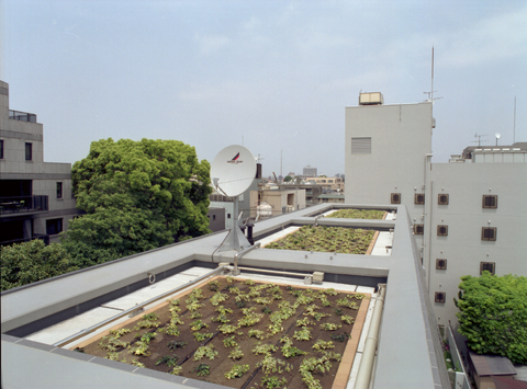 市谷砂土原町パークハウス-h
