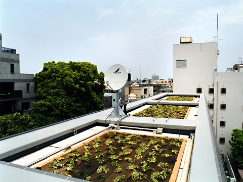 市谷砂土原町パークハウス-h