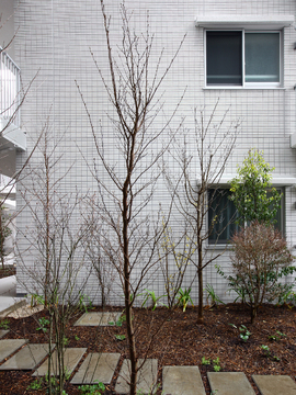 パークハウス調布国領-h