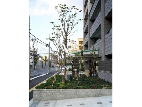 パークハウス縮景園-h